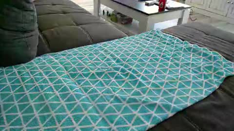 Snapshot of alexfresh84 chatting on 24, 12, 2024 Doggystyle online show from 24, 12, 2024