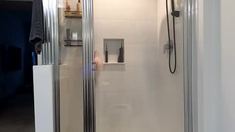 Alexi online show from 9, 1, 2025