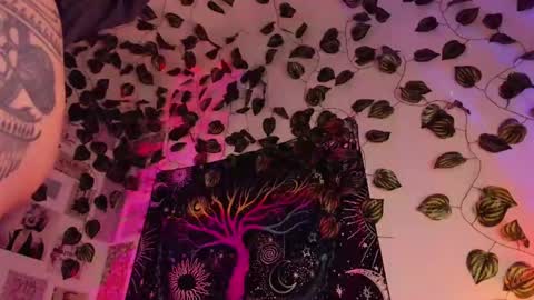 Snapshot of alexiafisher_ chatting on 24, 1, 2025 Alex online show from 24, 1, 2025