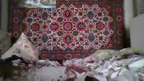 Snapshot of alferezsolvajo chatting on 22, 7, 2026 alferezsolvajo online show from 22, 7, 2026