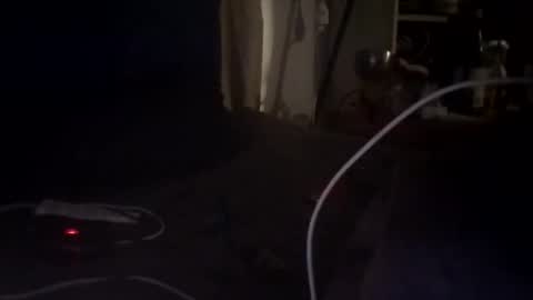Edgarrrdd1021 online show from 9, 5, 2026