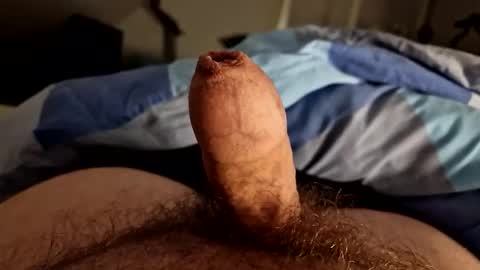 Snapshot of alfred2349 chatting on 4, 10, 2025 alfred2349 online show from 4, 10, 2025