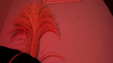 ALICE  online show from 25, 10, 2025