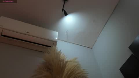 ALICE  online show from 25, 11, 2025