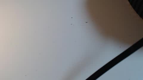 Snapshot of alid_17 chatting on 16, 2, 2026 Alid 17 online show from 16, 2, 2026