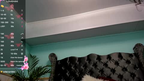 Alice online show from 15, 12, 2024