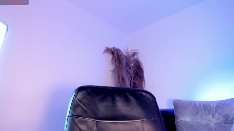 Alice online show from 22, 11, 2025