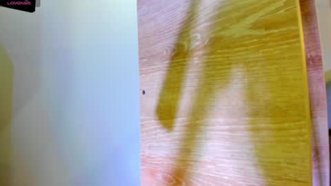           online show from 8, 1, 2025