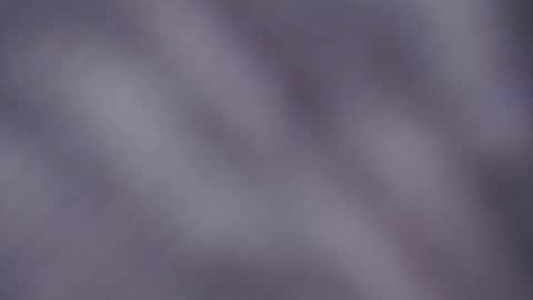 allise online show from 22, 12, 2025