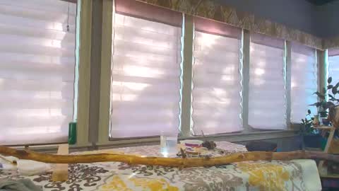 wishlist on bio online show from 25, 10, 2025