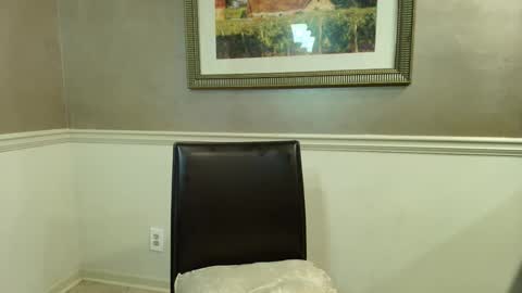 wishlist on bio online show from 23, 3, 2026