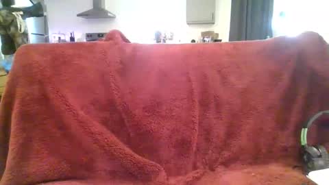 alliebearx online show from 3, 3, 2025