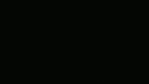 Frank online show from 9, 12, 2024