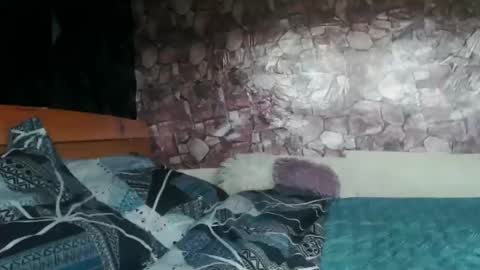 Almah online show from 31, 3, 2026