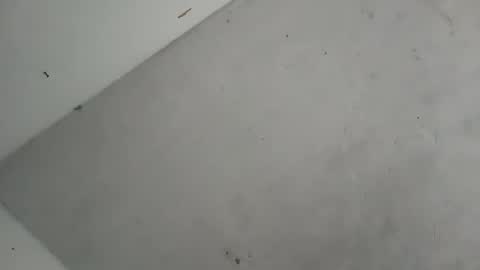 Snapshot of alondracc chatting on 7, 10, 2025 Contreras online show from 7, 10, 2025