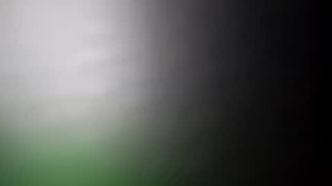 Snapshot of alostmale chatting on 20, 2, 2025 alostmale online show from 20, 2, 2025