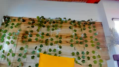 alyssia online show from 18, 2, 2025