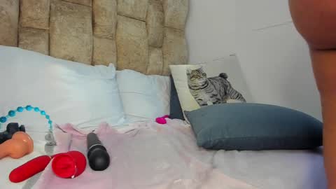 AMATISTA online show from 12, 11, 2025