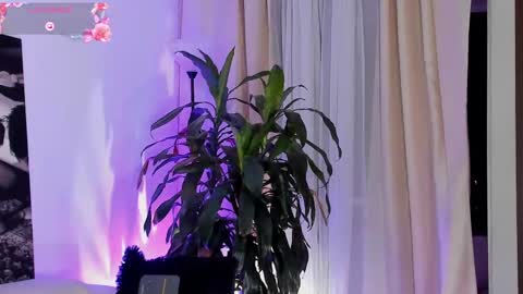 Amatista online show from 22, 9, 2025