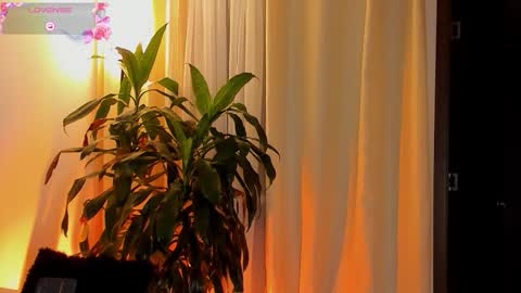 Amatista online show from 11, 10, 2025