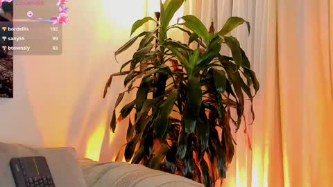 Amatista online show from 1, 11, 2025