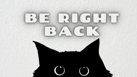 AmbarSantany  online show from 6, 3, 2025