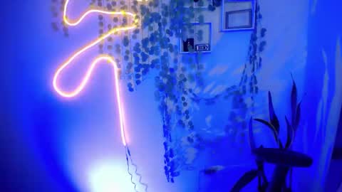 Amber online show from 6, 3, 2025