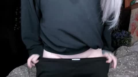 Amelia online show from 8, 11, 2025