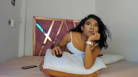 amelia online show from 7, 7, 2026