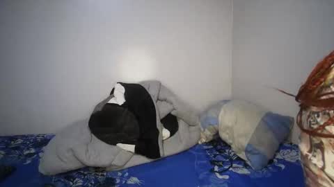 shantel online show from 14, 11, 2025