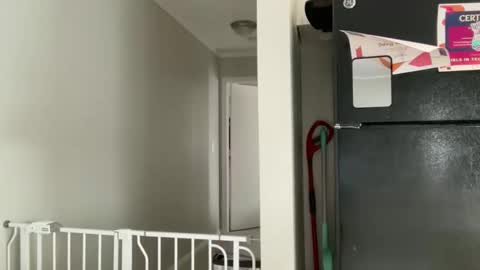 Amy Smilez online show from 17, 12, 2025