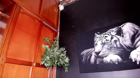 Snapshot of anahi__18 chatting on 22, 2, 2025 Anahi online show from 22, 2, 2025