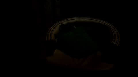 analia18  online show from 17, 1, 2025