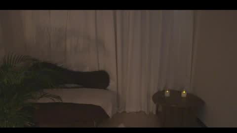 Ann online show from 10, 4, 2026