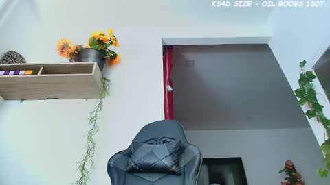 ana  online show from 29, 11, 2025