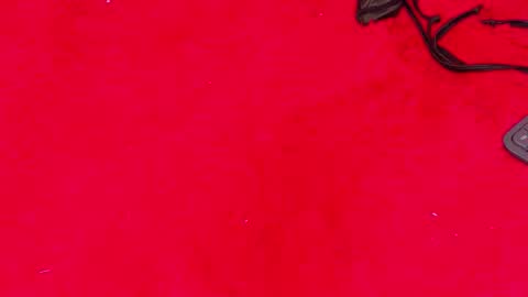 Kendra  online show from 5, 1, 2026