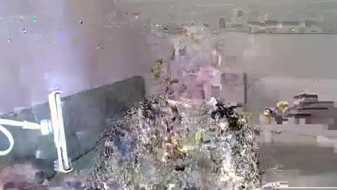 Andorphin online show from 6, 1, 2025