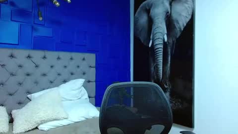 Andre Parker online show from 1, 3, 2025