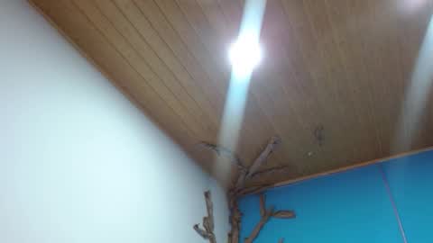 Andre online show from 3, 2, 2026