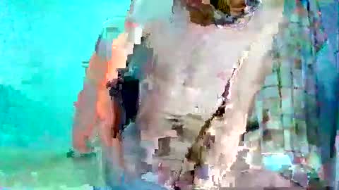 Snapshot of andrescitomessi chatting on 5, 12, 2024 FLACO online show from 5, 12, 2024