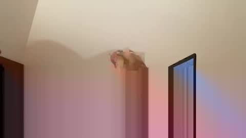 andysap online show from 10, 1, 2025