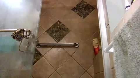 andywan94 online show from 7, 2, 2025