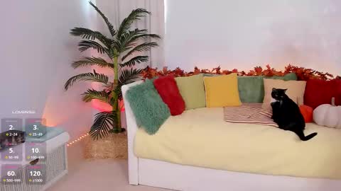 Snapshot of angel_claire chatting on 14, 11, 2025 Claire - be back soon online show from 14, 11, 2025