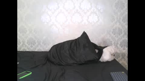 Angel Lein online show from 11, 2, 2025