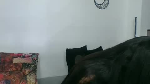  Angela  online show from 11, 3, 2025