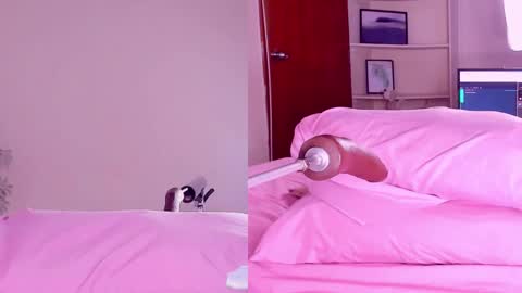 Snapshot of angeli__wu chatting on 18, 2, 2025 Angeli online show from 18, 2, 2025