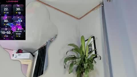 Carolina online show from 31, 10, 2025