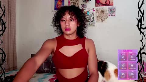   online show from 21, 1, 2025