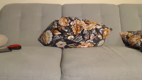 Alice online show from 25, 12, 2024