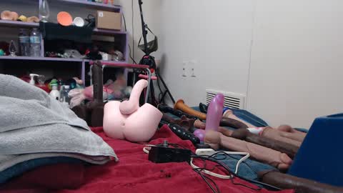 Twitter at animegamergrl. No vids for sale on Chaturbate. online show from 26, 11, 2025